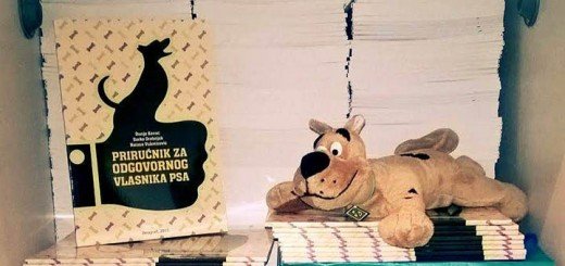 Priručnik za odgovornog vlasnika psa