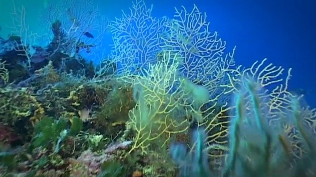 Ugroženost ekosistema u Sredozemnom moru