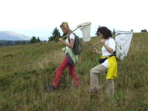 doc Dr Snežana Pešić u na terenu