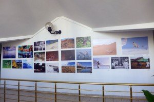 izložba Biodiverzitet