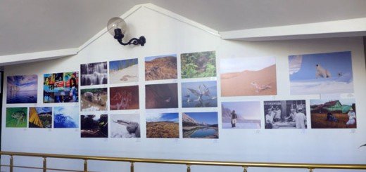 izložba Biodiverzitet