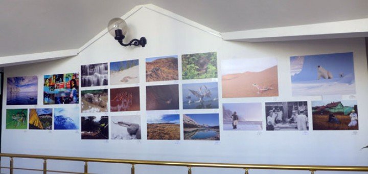 izložba Biodiverzitet