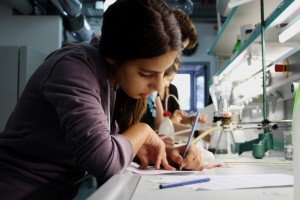 očekujemo i rekordan broj programa za studente