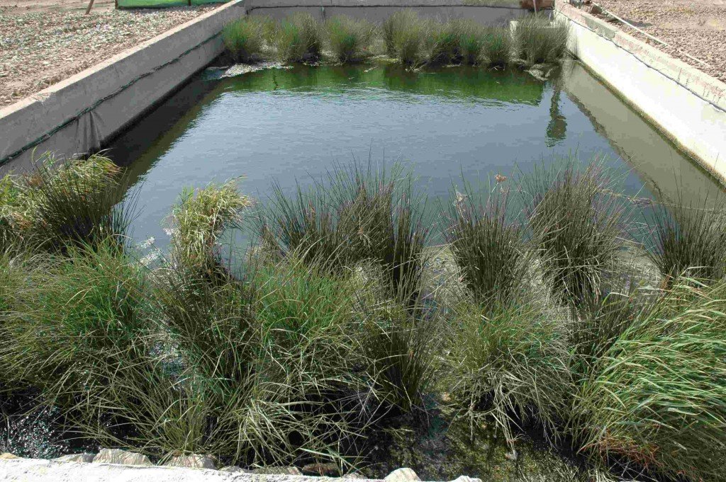 remedijacija zagađenih voda remedijacija zagađenih voda