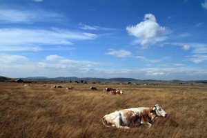 zaštićeno područje I kategorije međunarodnog i nacionalnog, odnosno izuzetnog značaja