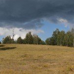 „Divčibarska tresava“