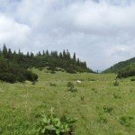 Mojstirsko-Draške planine