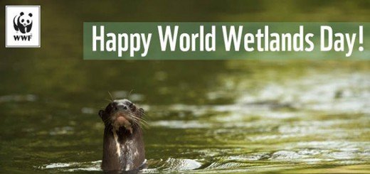 Svetski dan vlažnih staništa WWF Adria