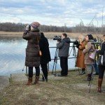 posmatranje ptica na lokalitetu „Mala Vrbica“