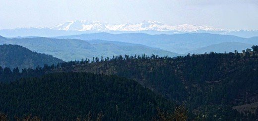 Bosna preko Zlatibora