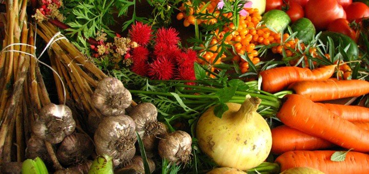 Ekološki zdrava hrana