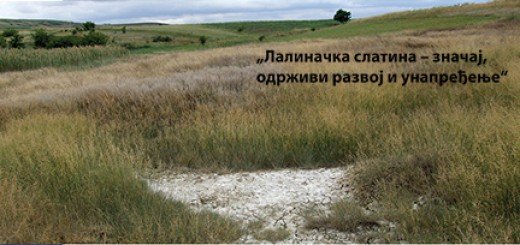 Lalinačka slatina - značaj, održivi razvoj i unapređenje