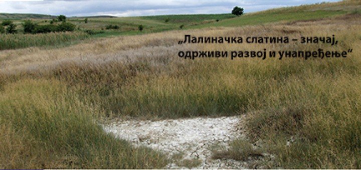 Lalinačka slatina - značaj, održivi razvoj i unapređenje