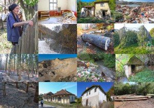 Nemar i zapuštenost