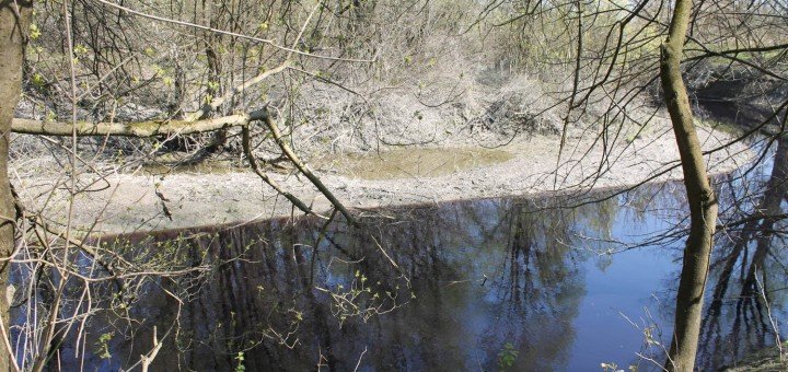 Zagađena voda koja_se_razliva po evropskom Amazonu_