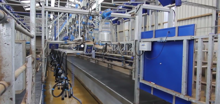 energetski održive farme mlečnih krava