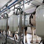 Energetski održive farme mlečnih krava