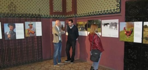 Tradicionalno stočarstvo i biodiverzitet u Panonskoj niziji