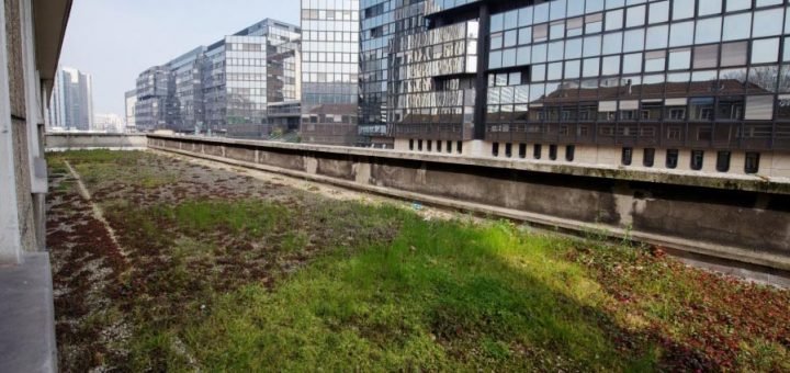 galerie_ecoleetcollegeruedebercy