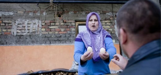 Teška industrija u Zenici i Tuzli ozbiljno zagadila prehrambene artikle