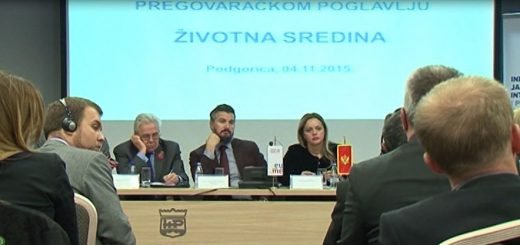 Zakonodavstvo u okviru poglavlja 27 izuzetno obimno - čini trećinu evropskog akija foto printscreen