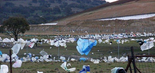 plastic_bags_Tennant