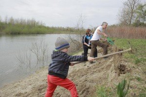 pripremila staništa za povratak bregunice