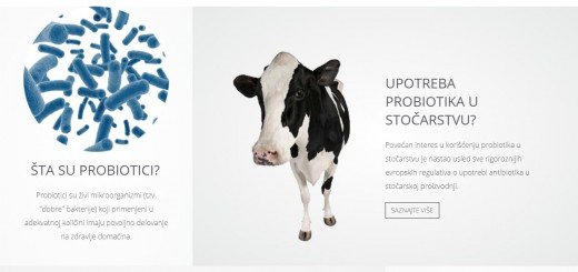 upotreba probiotika u stočarstvu