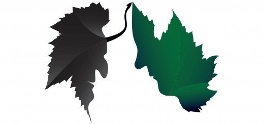 Stakleno zvono: zeleni i crni list 2015