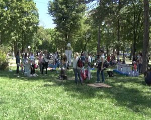 Izložba Plava planeta u Velikom parku