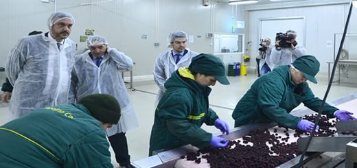 Donošenje Pravilnika o higijenskim pravilima za proizvodnju, otkup i preradu jagodičastog voća – već do kraja maja ili najkasnije početkom juna