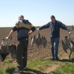 neodgovorna upotreba pesticida