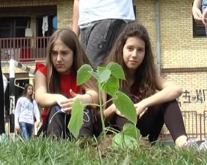 Čekaćemo da Javor poraste