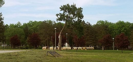 veliki park javna rasprava