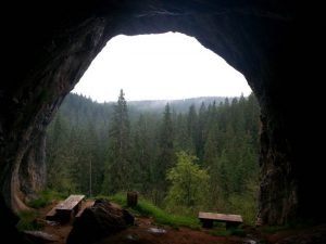 Toward strengthened conservation planning in South-Eastern Europe