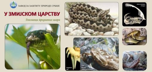 U okviru akcije deca su bila u prilici i da se druže sa zmijama