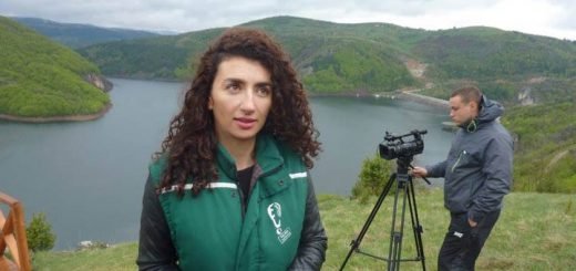 Zelena patrola na Uvcu