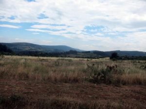 revitalizovane brojne vlažne livade i „Biljober“ na Ozrenu i Rtnju