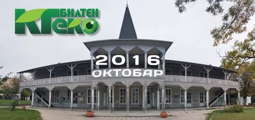 KG eko bilten oktobar 2016 10-16