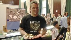 Reptilija