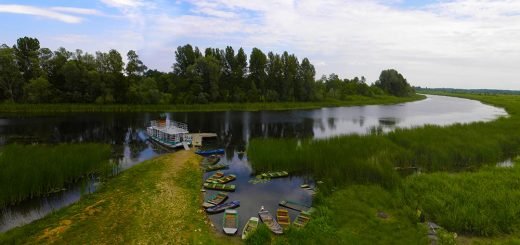 Zasavica je proglašena područjem upravljanja staništima i vrstama 4 kategorije