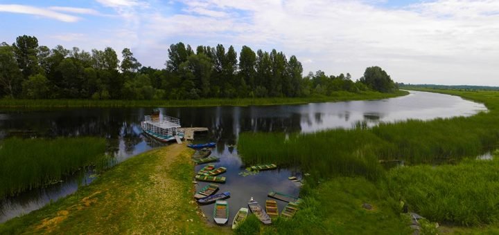 Zasavica je proglašena područjem upravljanja staništima i vrstama 4 kategorije