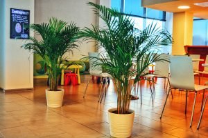 Internet kafe Prirodnjačkog muzeja