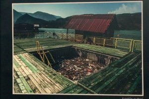 izložba fotografija „Životna sredina bez cenzure“ 02