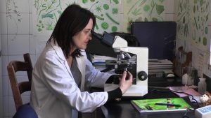 mikrobiološko ispitivanje