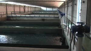 postrojenje za prečišćavanje voda Kragujevac