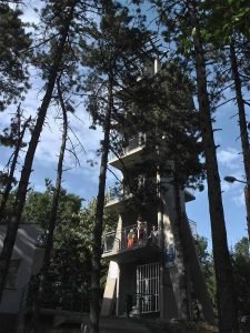 Vidikovac na Bukulji