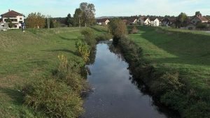 Lepenica u Batočini