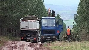 Čišćenje divljih deponija JKP u Stubici