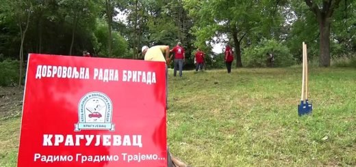 Dobrovoljna radna brigada Kragujevac